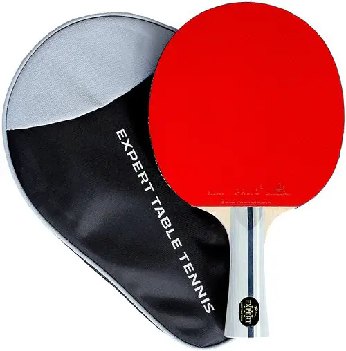 Palio Expert 3.0 Table Tennis Bat and Case.jpg